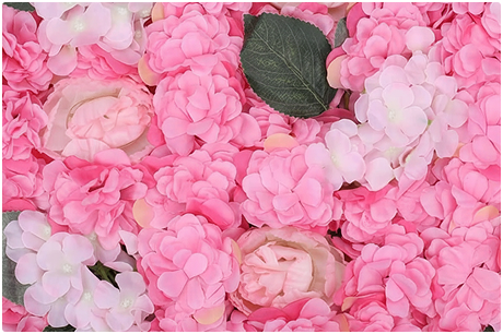 Pink Colour Scheme