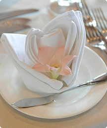Polyester Napkins