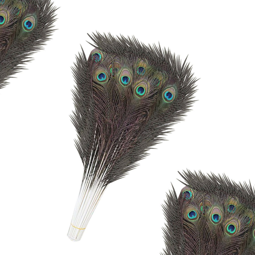 Peacock Feathers - Large