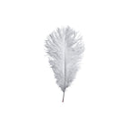 35-40cm Loose Ostrich Feathers, 5pcs - Silver