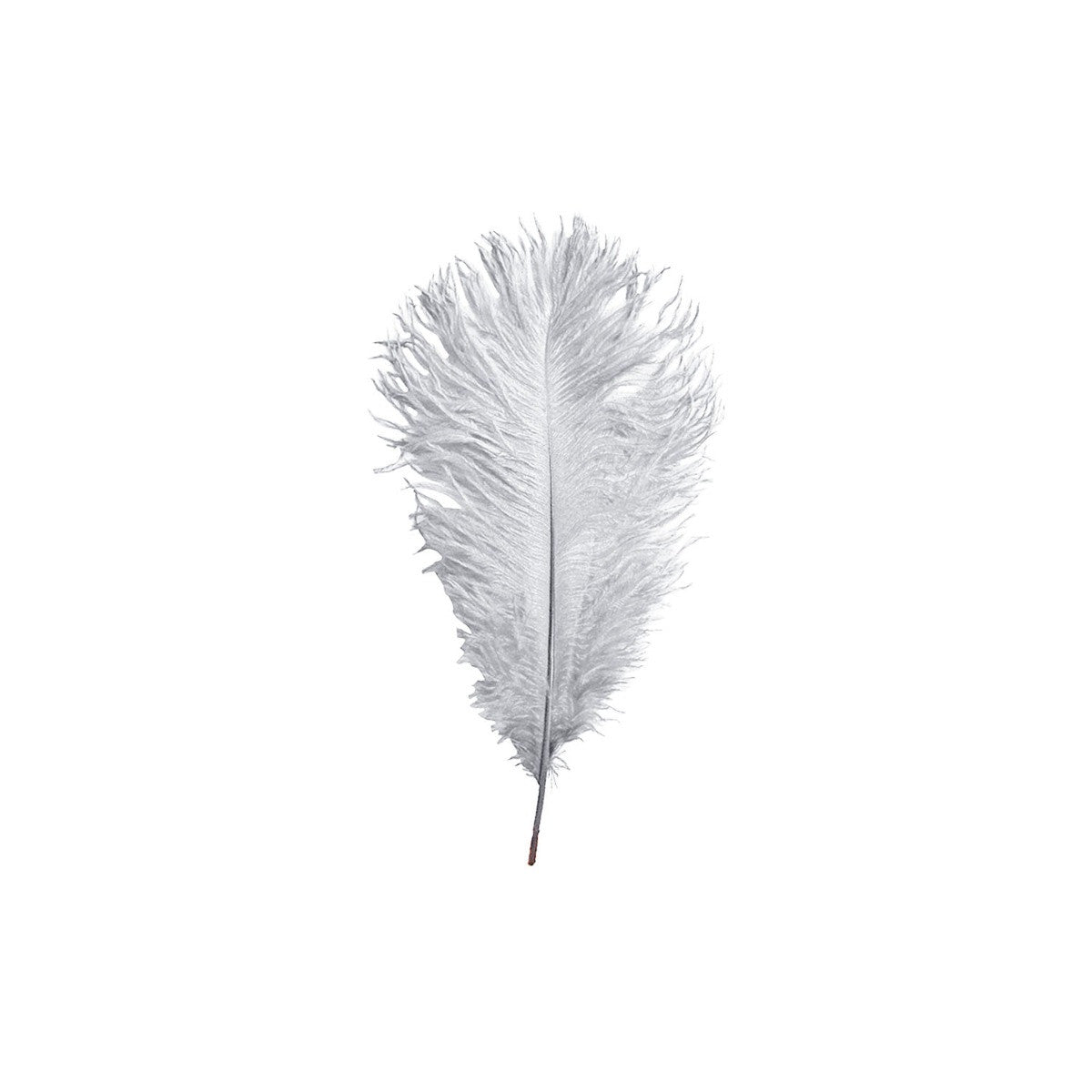 35-40cm Loose Ostrich Feathers, 5pcs - Silver