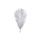 35-40cm Loose Ostrich Feathers, 5pcs - Silver