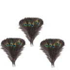 Peacock Feathers - Medium
