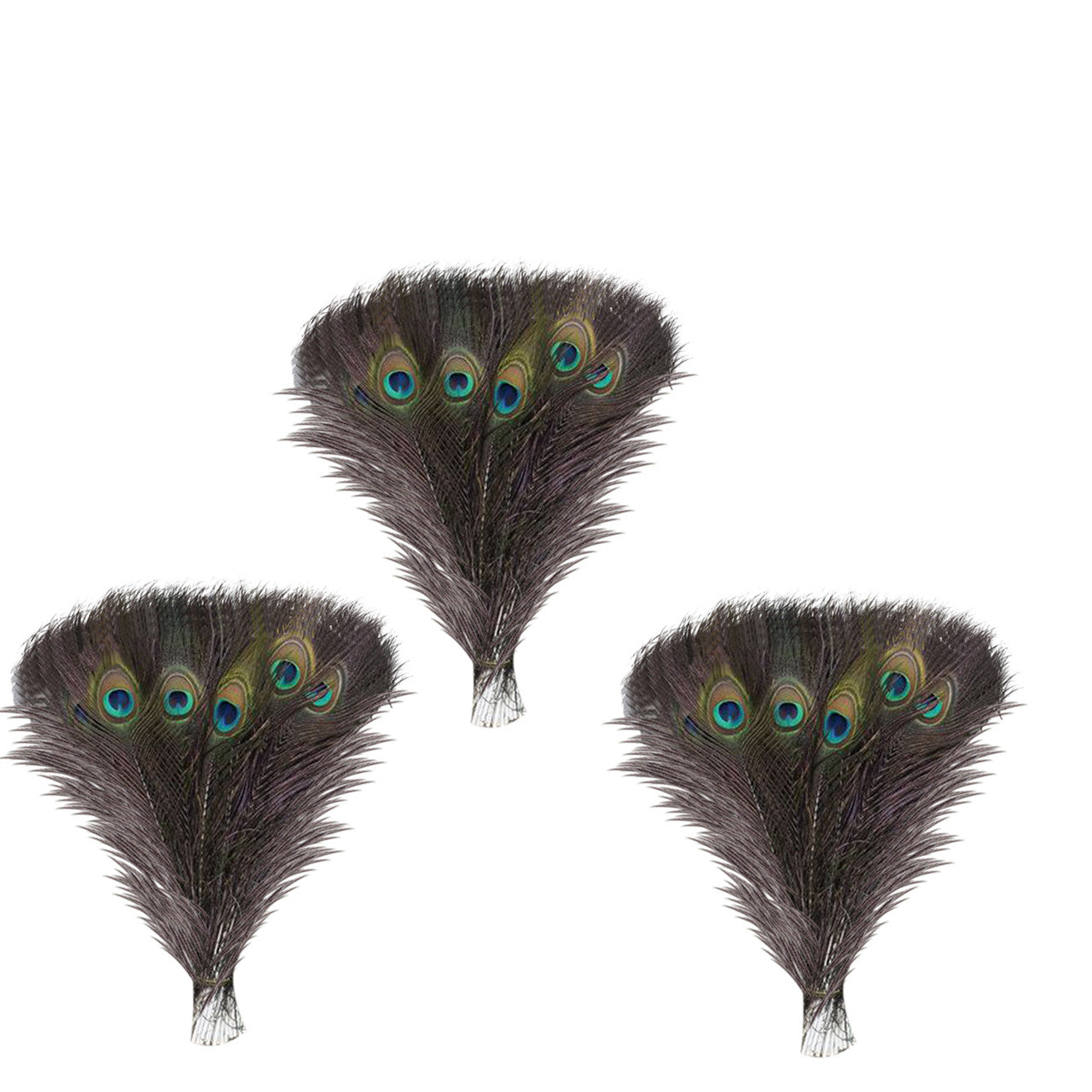 Peacock Feathers - Medium