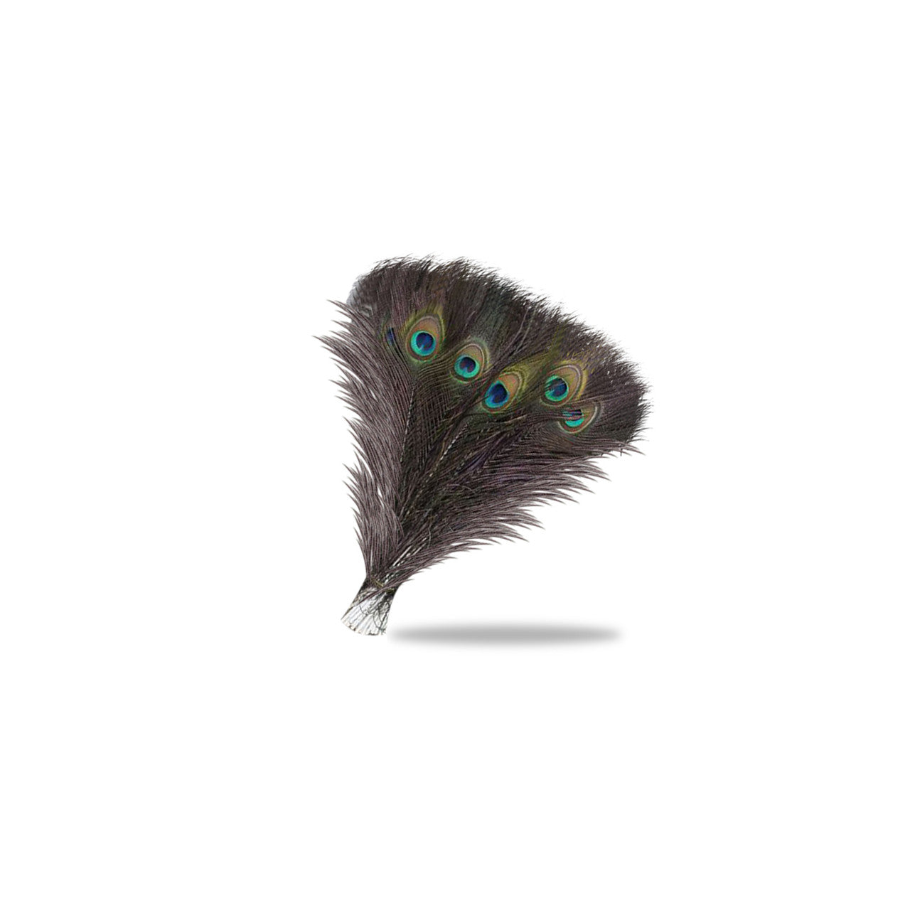 Peacock Feathers - Medium