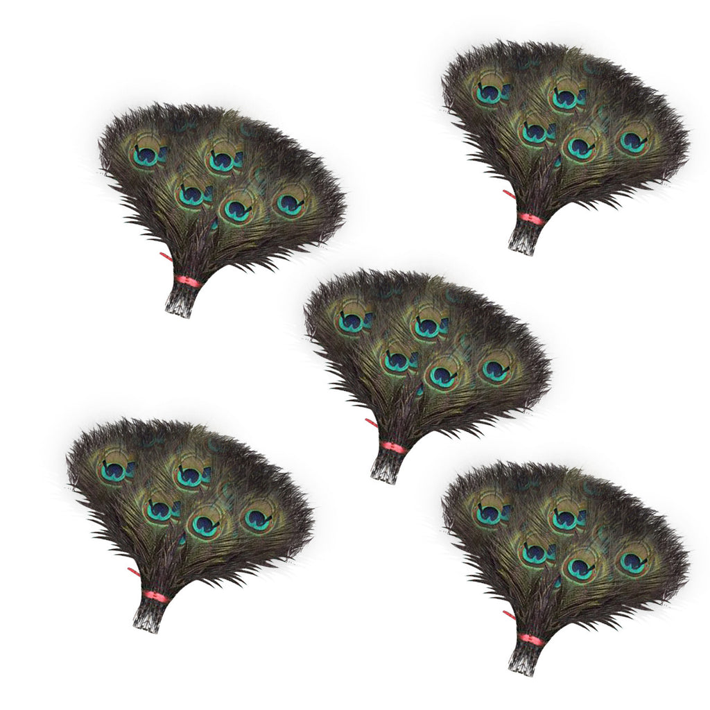 Peacock Feathers - Small