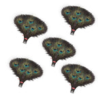 Peacock Feathers - Small