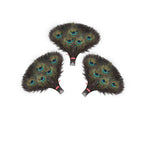 Peacock Feathers - Small