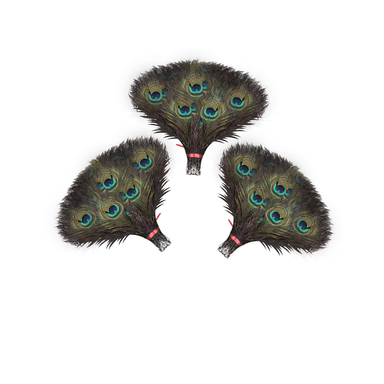 Peacock Feathers - Small