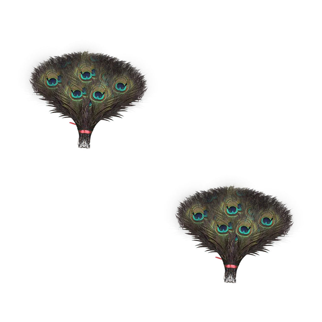 Peacock Feathers - Small