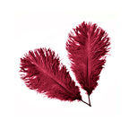 35-40cm Loose Ostrich Feathers, 5pcs - Burgundy