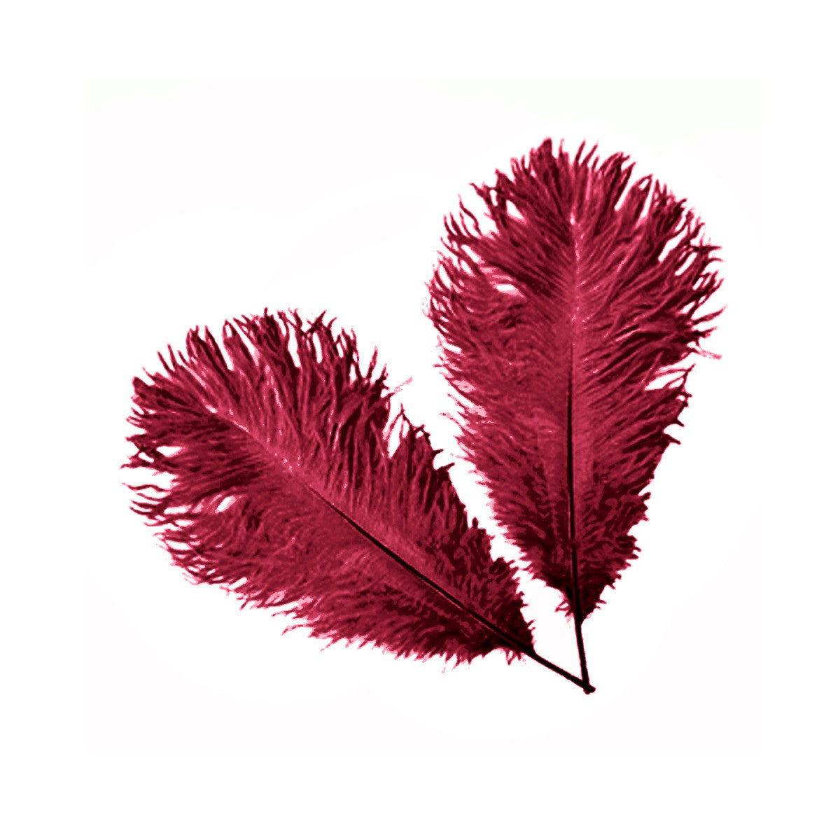 35-40cm Loose Ostrich Feathers, 5pcs - Burgundy