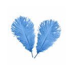 35-40cm Loose Ostrich Feathers, 5pcs - Baby Blue