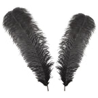 50-60cm Loose Ostrich Feathers, 5pcs - Black