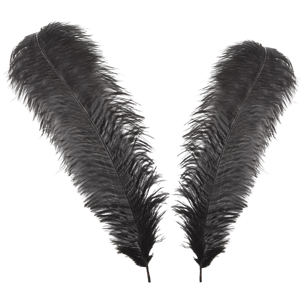 50-60cm Loose Ostrich Feathers, 5pcs - Black