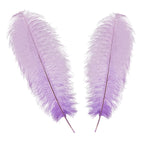 50-60cm Loose Ostrich Feathers, 5pcs - Lilac