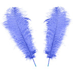50-60cm Loose Ostrich Feathers, 5pcs - Royal Blue