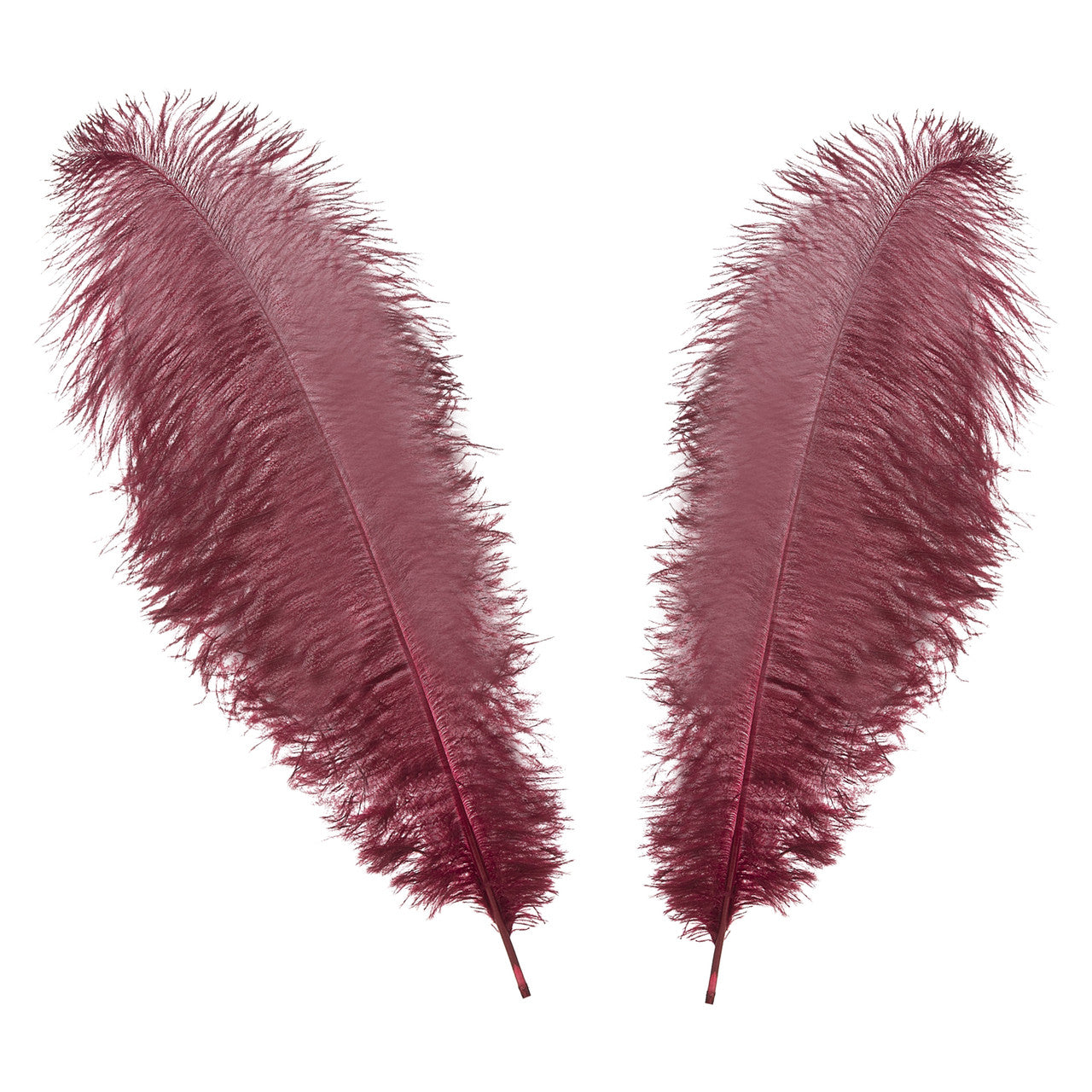 50-60cm Loose Ostrich Feathers, 5pcs - Burgundy