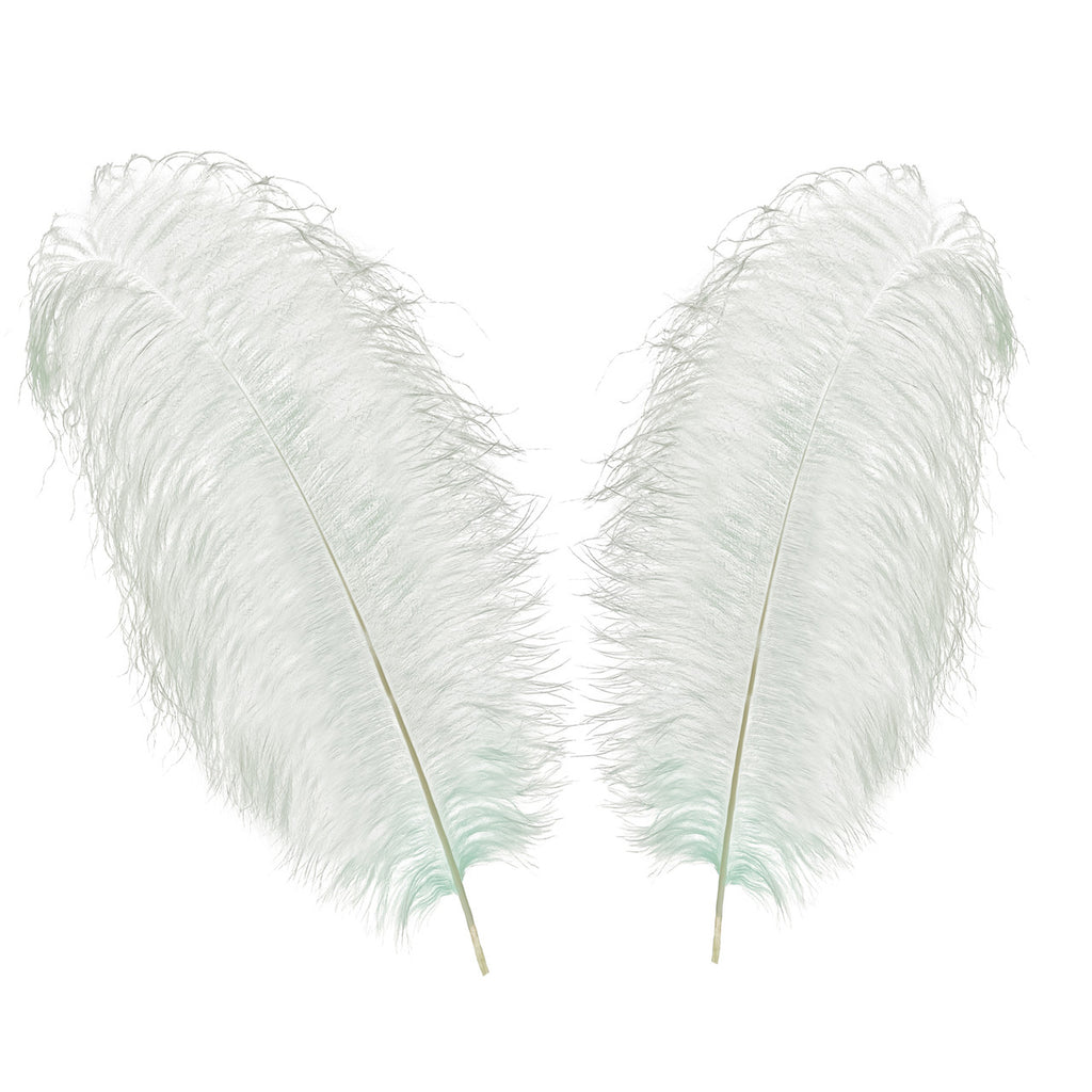 50-60cm Loose Ostrich Feathers, 5pcs - Silver