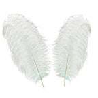 50-60cm Loose Ostrich Feathers, 5pcs - Silver
