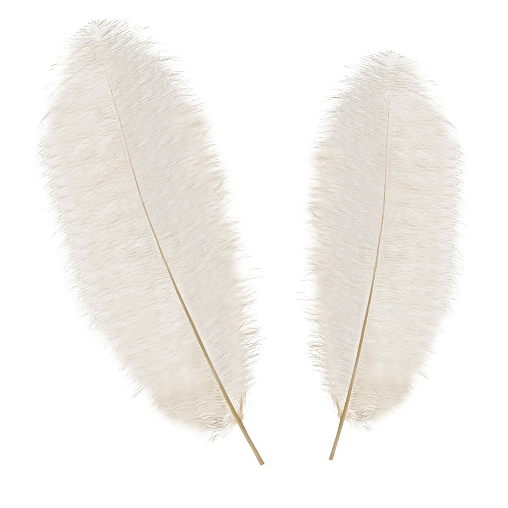 50-60cm Loose Ostrich Feathers, 5pcs - Ivory
