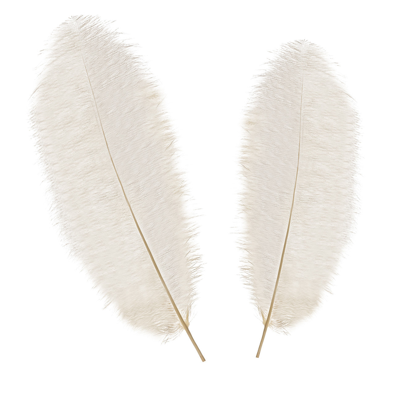 50-60cm Loose Ostrich Feathers, 5pcs - Ivory