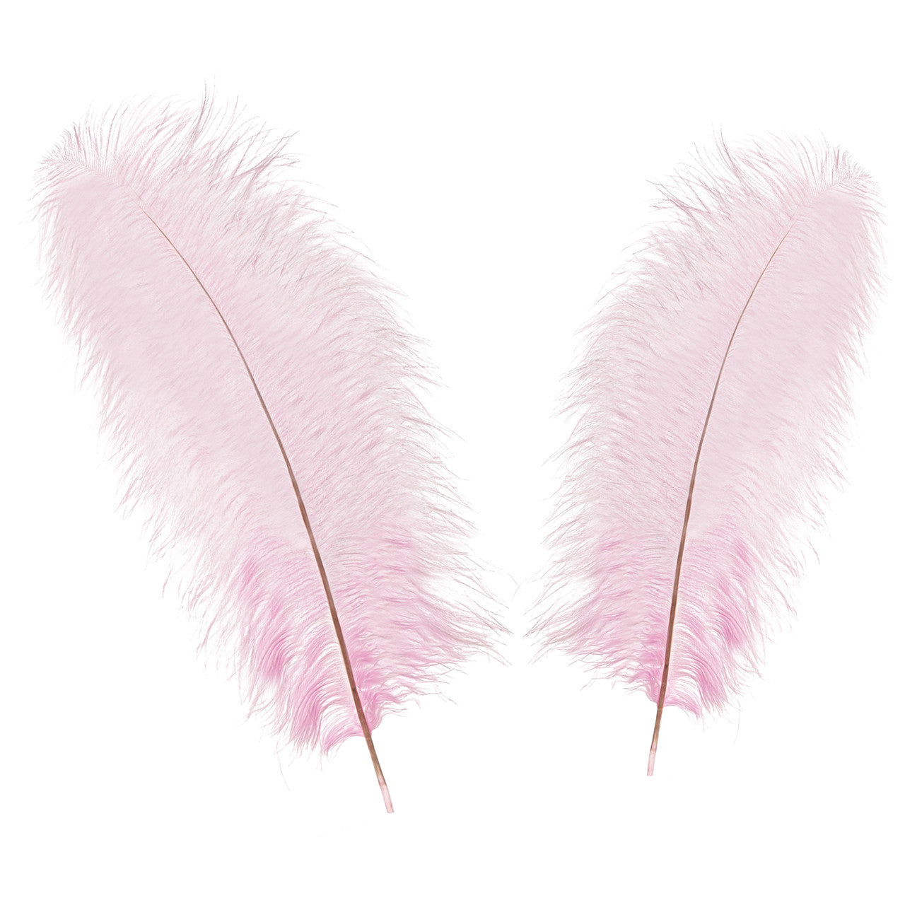50-60cm Loose Ostrich Feathers, 5pcs - Baby Pink