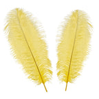 50-60cm Loose Ostrich Feathers, 5pcs - Yellow