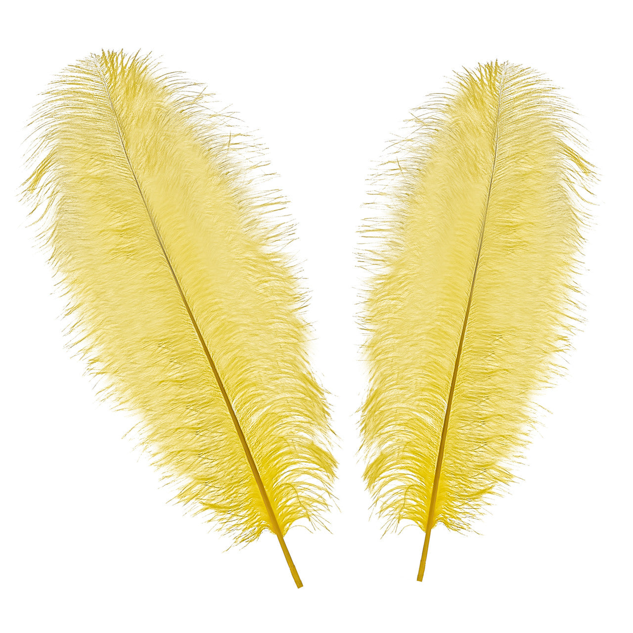 50-60cm Loose Ostrich Feathers, 5pcs - Yellow