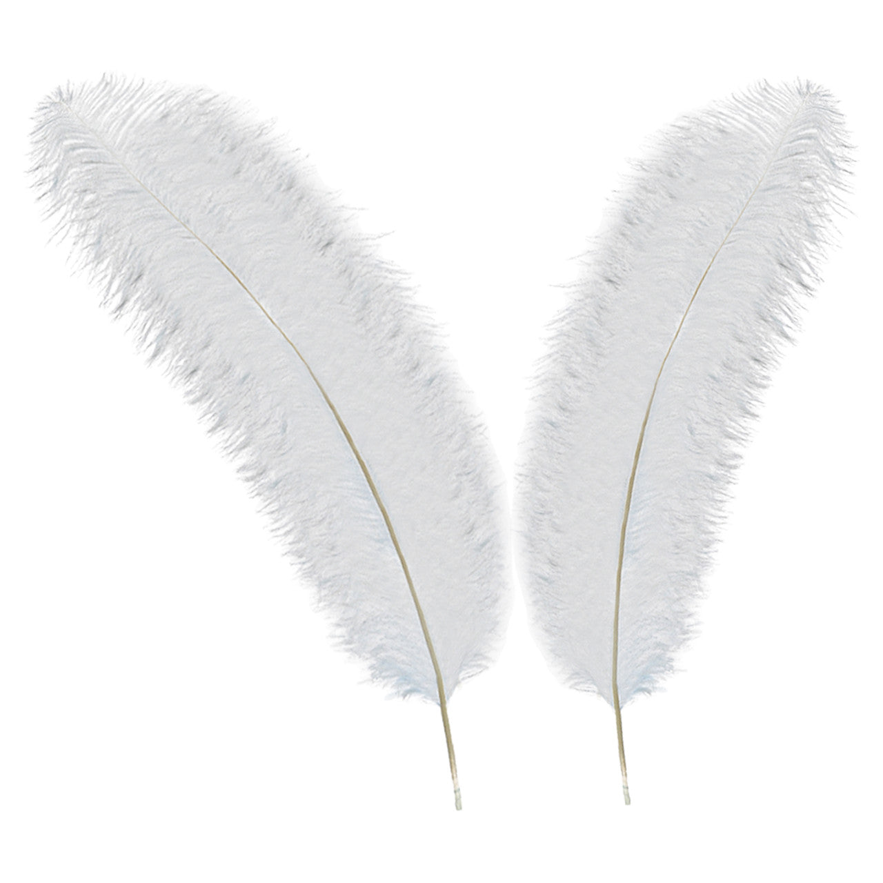 50-60cm Loose Ostrich Feathers, 5pcs - Baby Blue