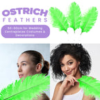 50-60cm Loose Ostrich Feathers, 5pcs - Green