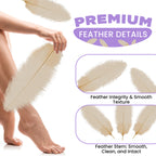 50-60cm Loose Ostrich Feathers, 5pcs - Gold