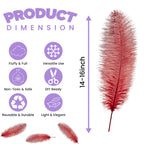 50-60cm Loose Ostrich Feathers, 5pcs - Red