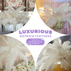 50-60cm Loose Ostrich Feathers, 5pcs - Baby Blue