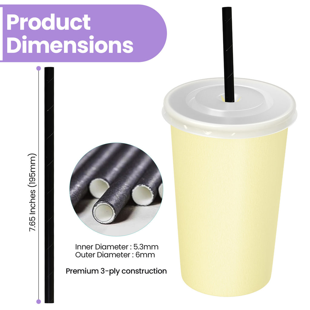 Black Biodegradable Paper Straws