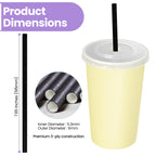 Black Biodegradable Paper Straws