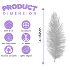 35-40cm Loose Ostrich Feathers, 5pcs - Silver