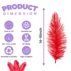 35-40cm Loose Ostrich Feathers, 5pcs - Red