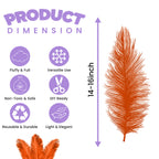 35-40cm Loose Ostrich Feathers, 5pcs - Orange