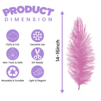35-40cm Loose Ostrich Feathers, 5pcs - Baby Pink