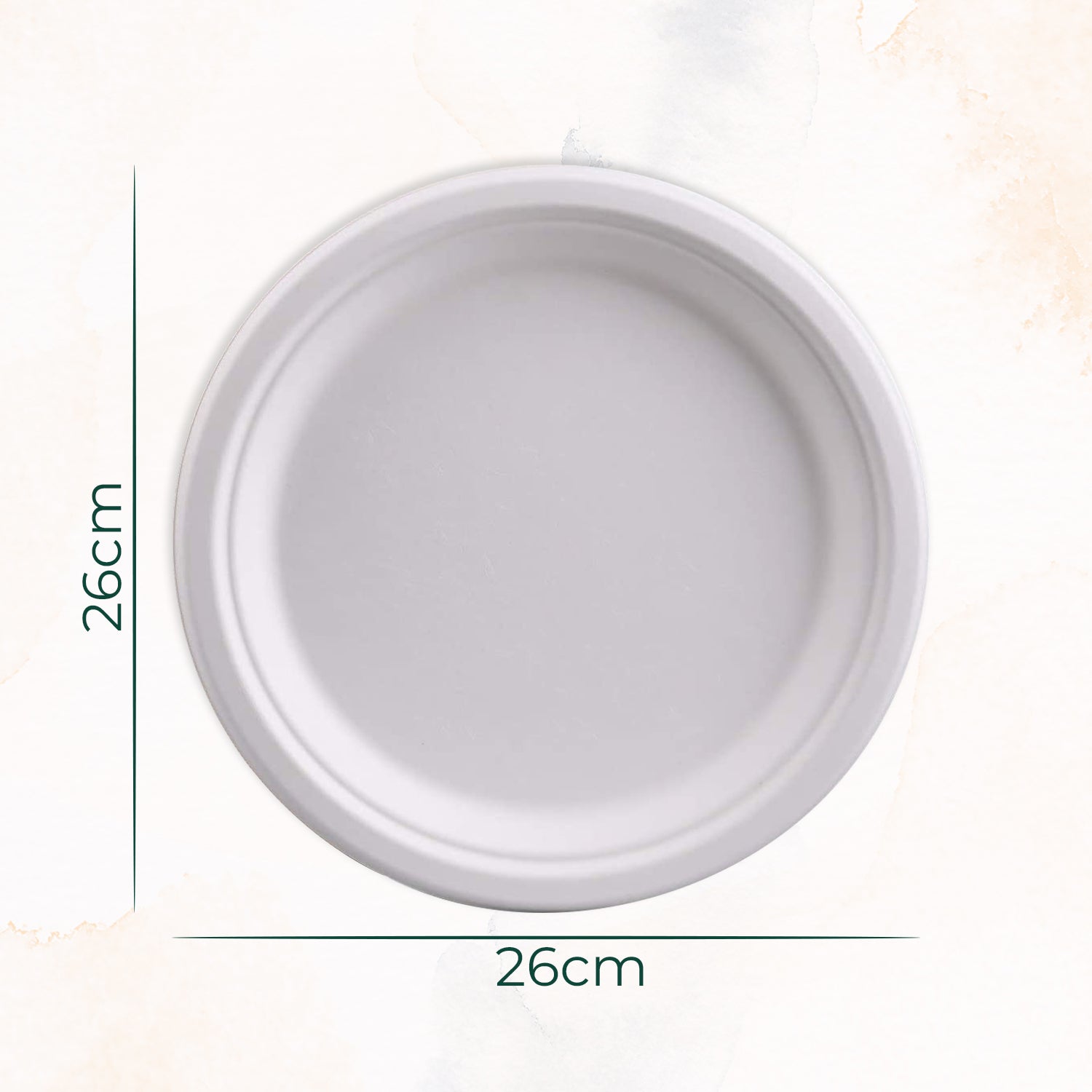 Biodegradable Party Plate Set