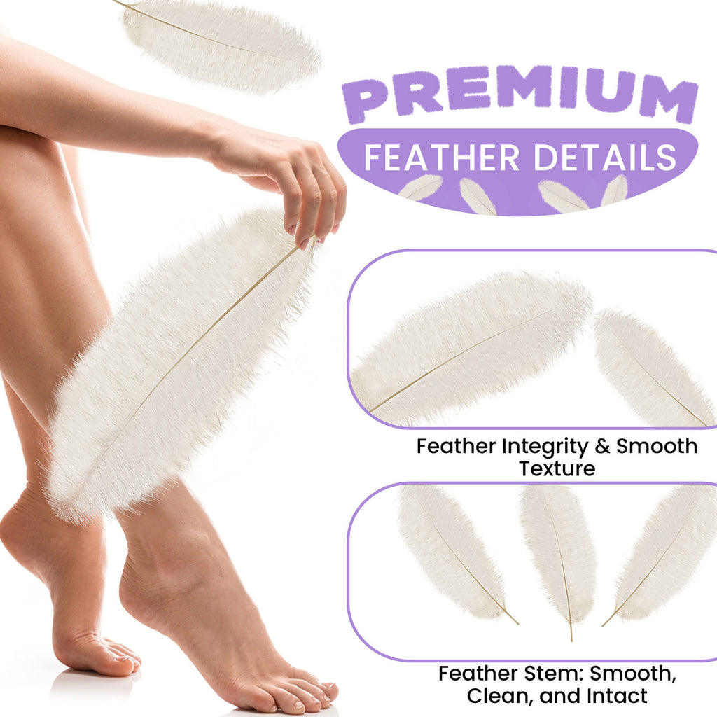 50-60cm Loose Ostrich Feathers, 5pcs - Ivory