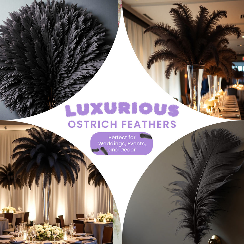 50-60cm Loose Ostrich Feathers, 5pcs - Black