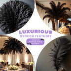 50-60cm Loose Ostrich Feathers, 5pcs - Black