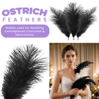 35-40cm Loose Ostrich Feathers, 5pcs - Black