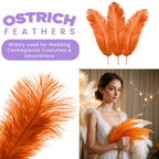 35-40cm Loose Ostrich Feathers, 5pcs - Orange