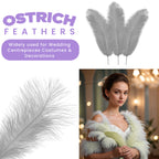 35-40cm Loose Ostrich Feathers, 5pcs - Silver