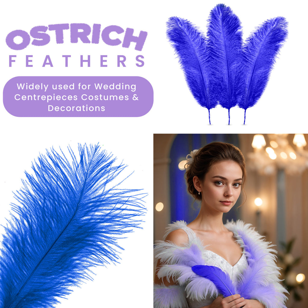 35-40cm Loose Ostrich Feathers, 5pcs - Royal Blue