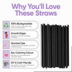 Black Biodegradable Paper Straws