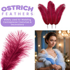 35-40cm Loose Ostrich Feathers, 5pcs - Burgundy